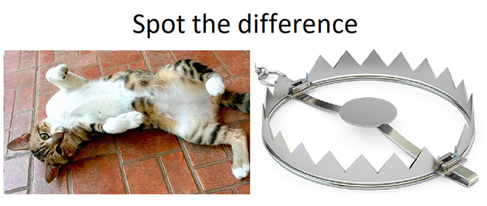 kitty and mouse trap difference