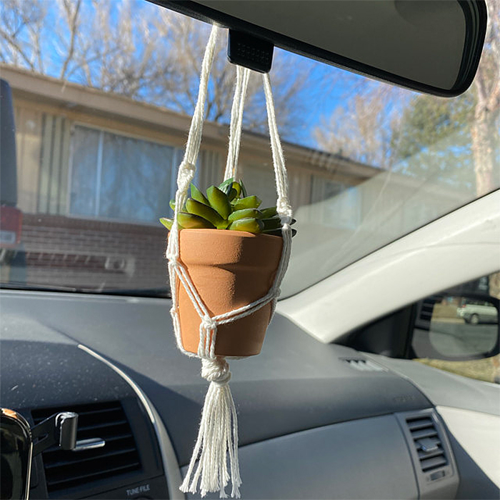 mini macrame car plant hanger with pot and plant