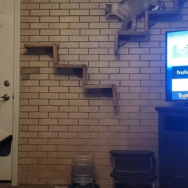 These Floating Cat Stairs Provide A Stylish Route To Their Floating Cat