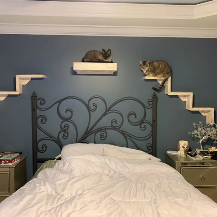 portesuelogoods wall-hanging feline perch customer review amy breeze