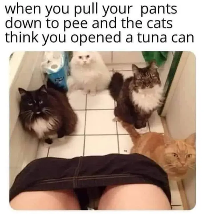 pull pants down open can of tuna