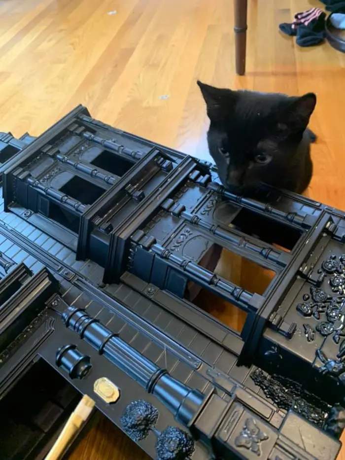 samantha's pet cat stares at his human's black dollhouse