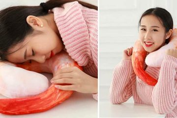 Shrimp neck pillow
