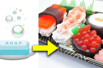 Sushi soap