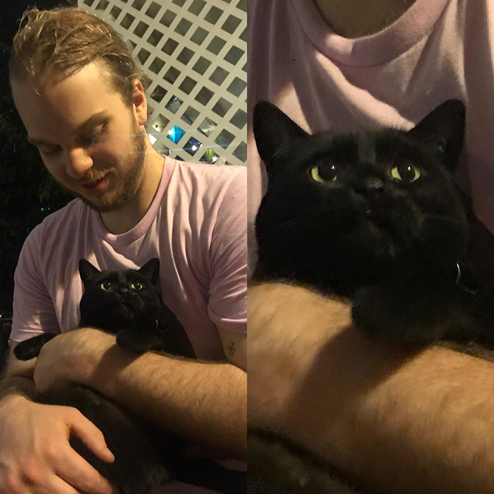 cat getting clingy with owner's boyfriend