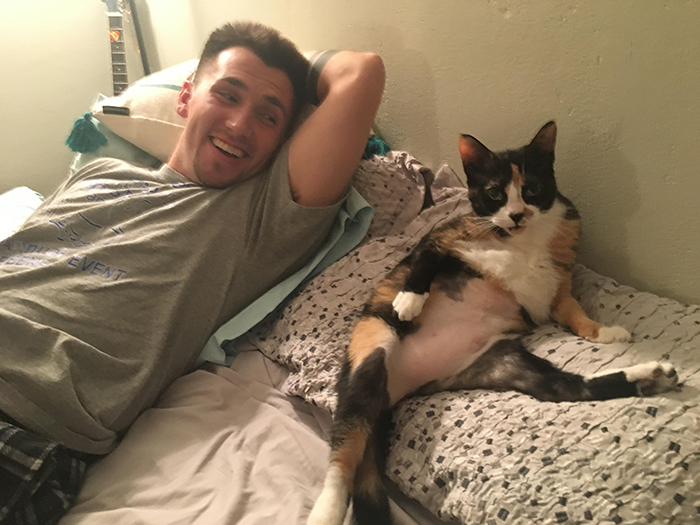 cat trying to seduce owner's boyfriend