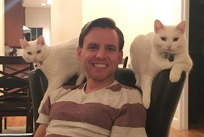 cats surrounding owner's husband