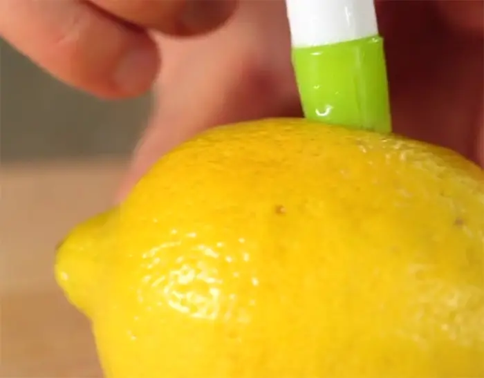citrus spritzer easy to insert