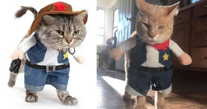 cowboy cat costume