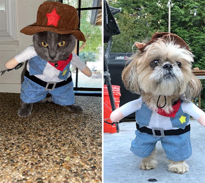 This Cowboy Cat Costume Turns Your Kitty Into The Cutest Gunslinger In