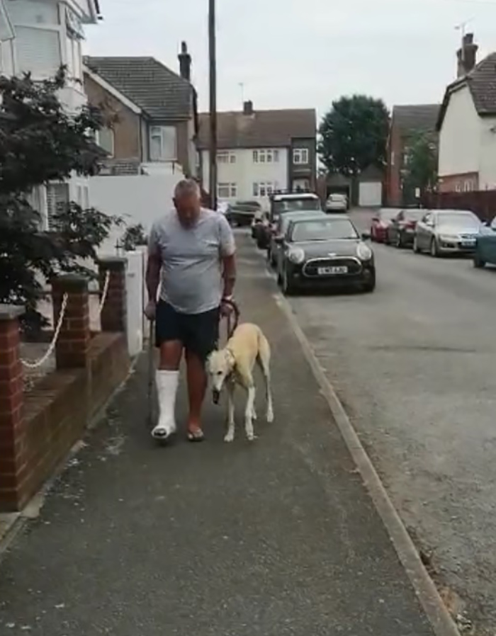 dog imitating injured owner