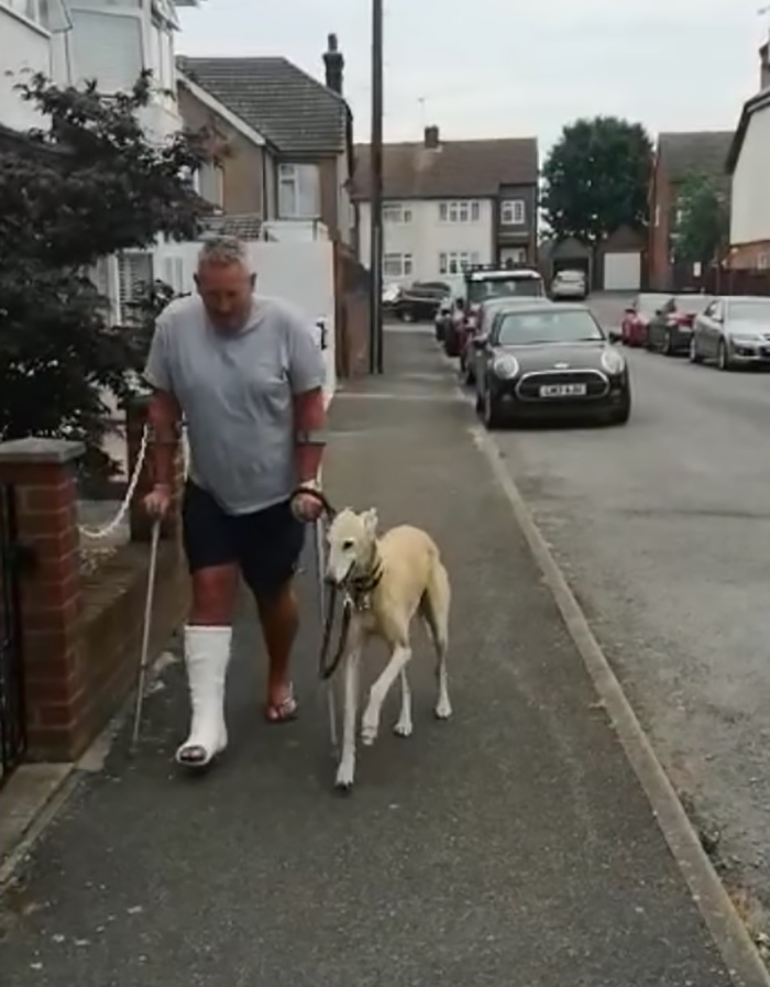 dog imitating limping injured owner