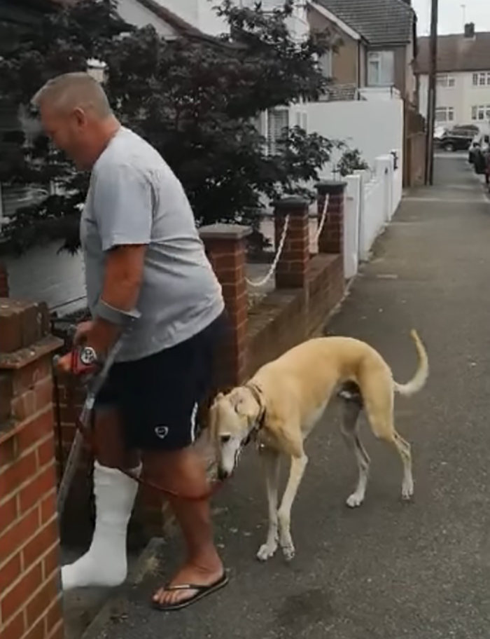 dog imitating limping owner