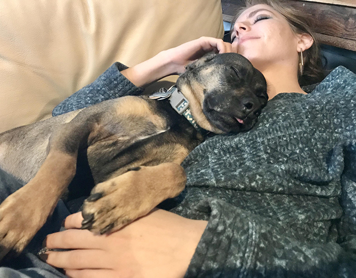 dog sleeping beside owner's girlfriend