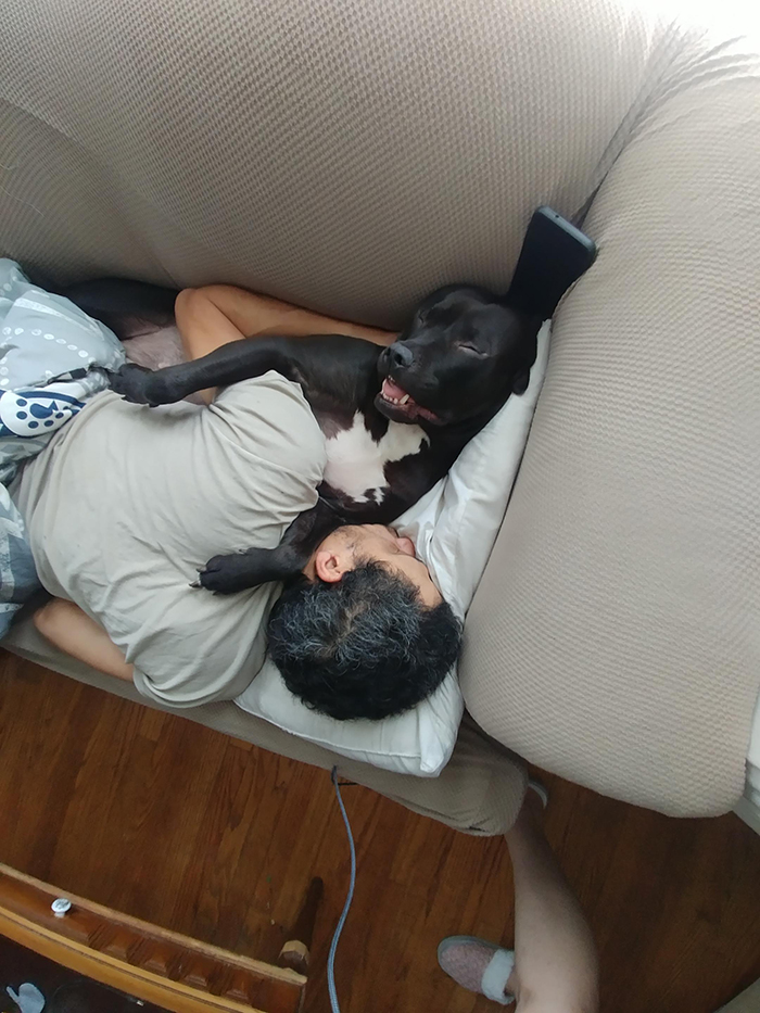 dog sleeping beside owner's husband