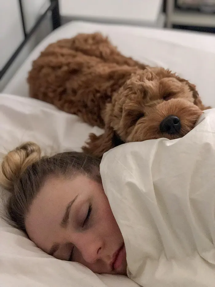 dog sleeping beside owner's wife