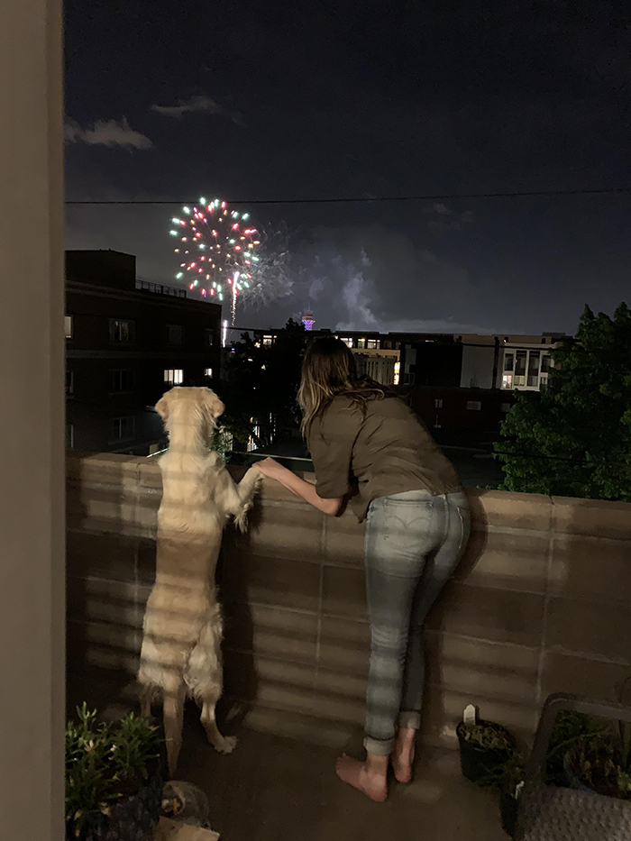 dog watching fireworks with owner's girlfriend