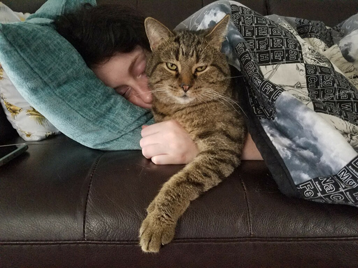 girlfriend sleeping while hugging cat