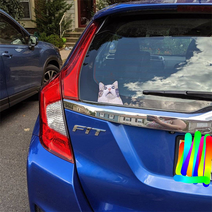 hilairous scaredy cat car sticker