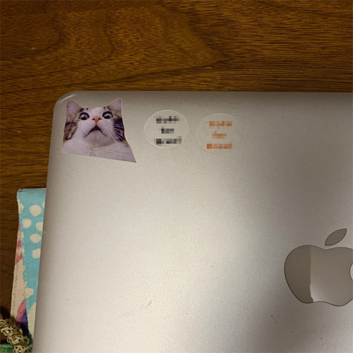 kitty meme laptop decor