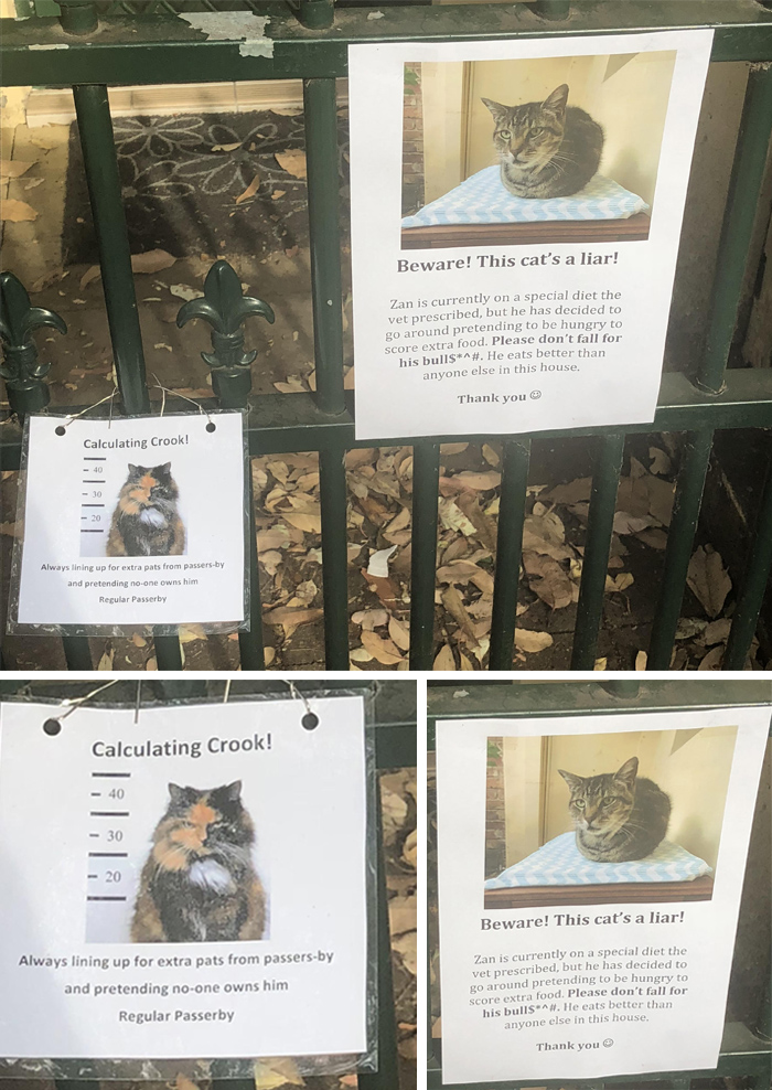 pet owner warning sign cat on special diet