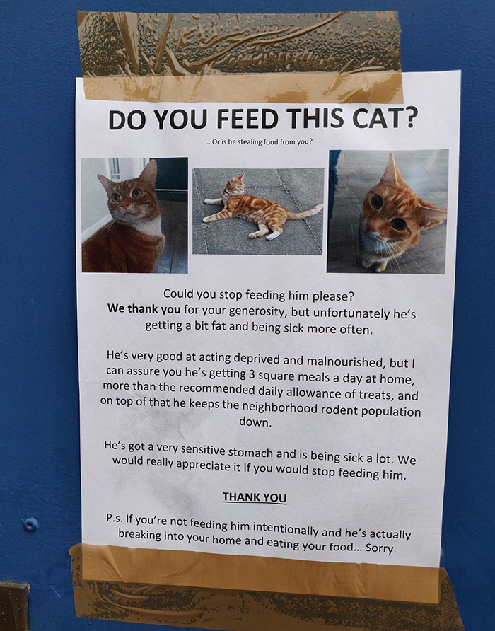 pet owner warning sign feeding cat