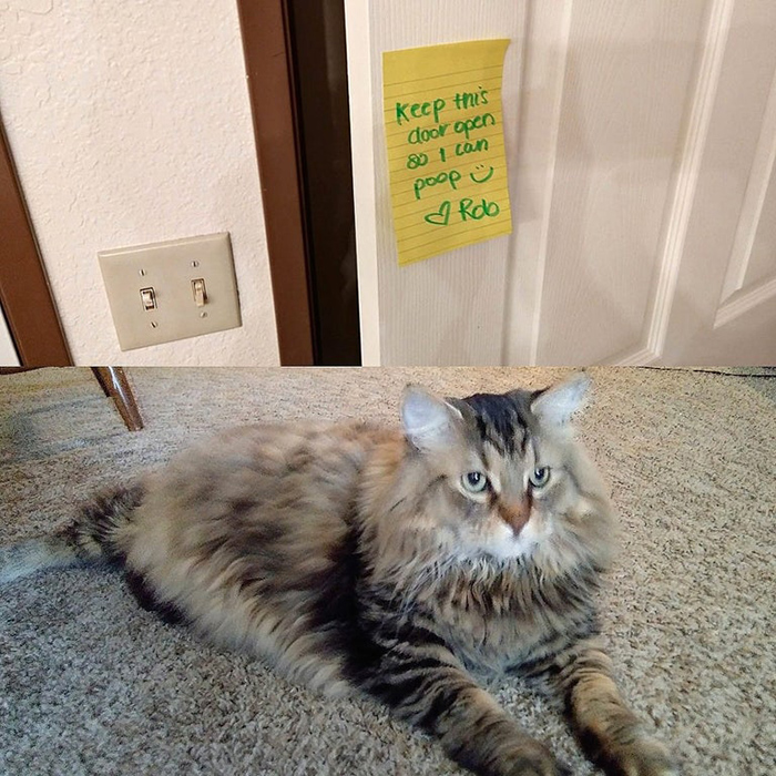 pet owner warning sign keeping door open