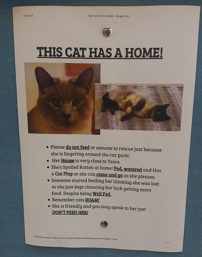 pet owner warning sign kitten has a home