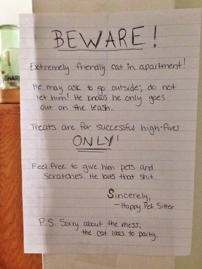 pet owner warning sign kitten in the apartment