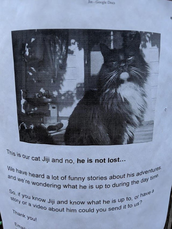 pet owner warning sign kitten not lost