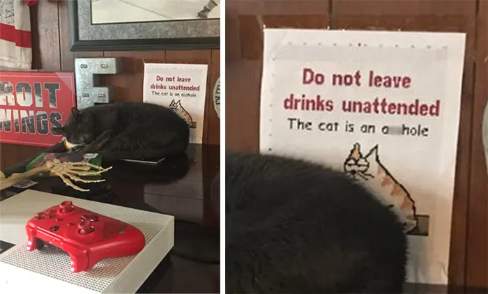pet owner warning sign leaving beverages unattended1