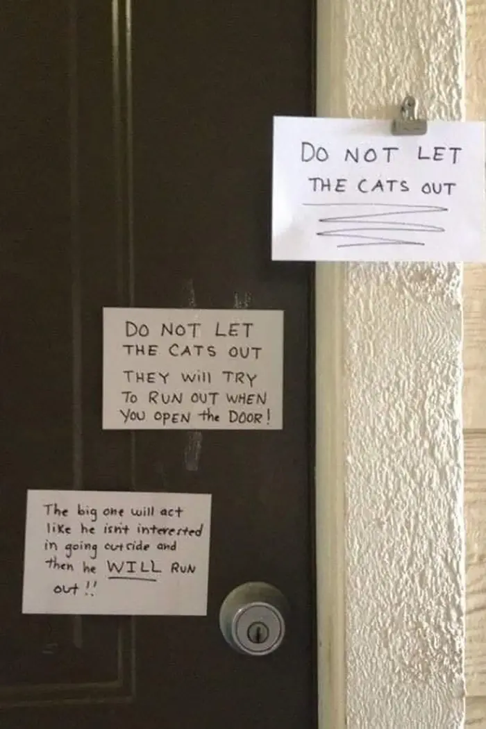 pet owner warning sign letting cat out