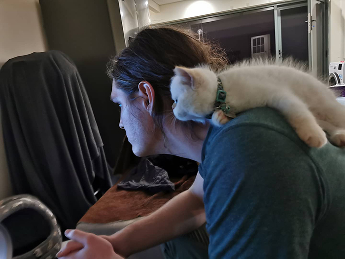 pets stealing owners' partners cat lying on shoulder of owner's boyfriend while watching tv