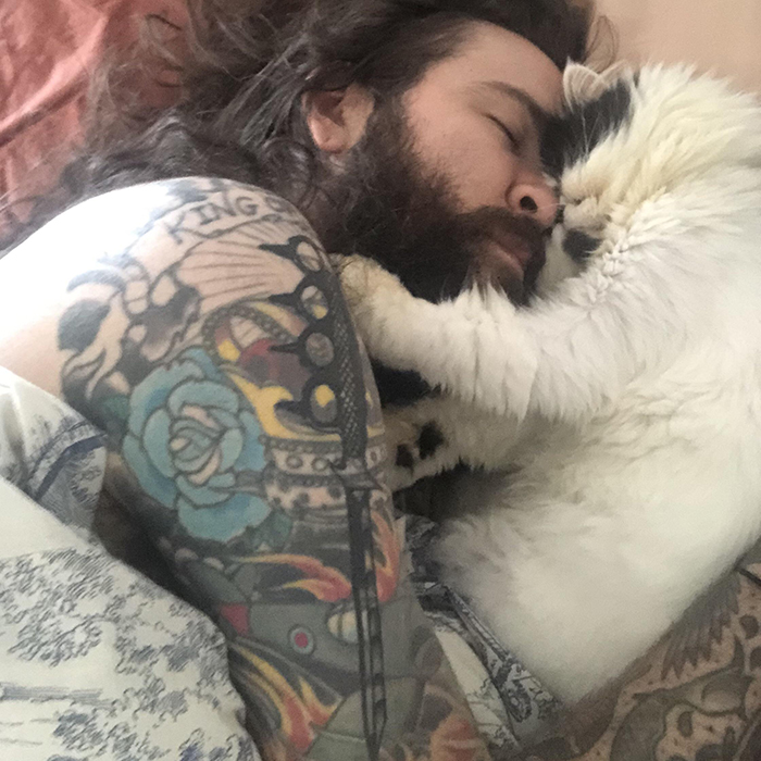 pets stealing owners' partners cat sleeping beside owner's boyfriend