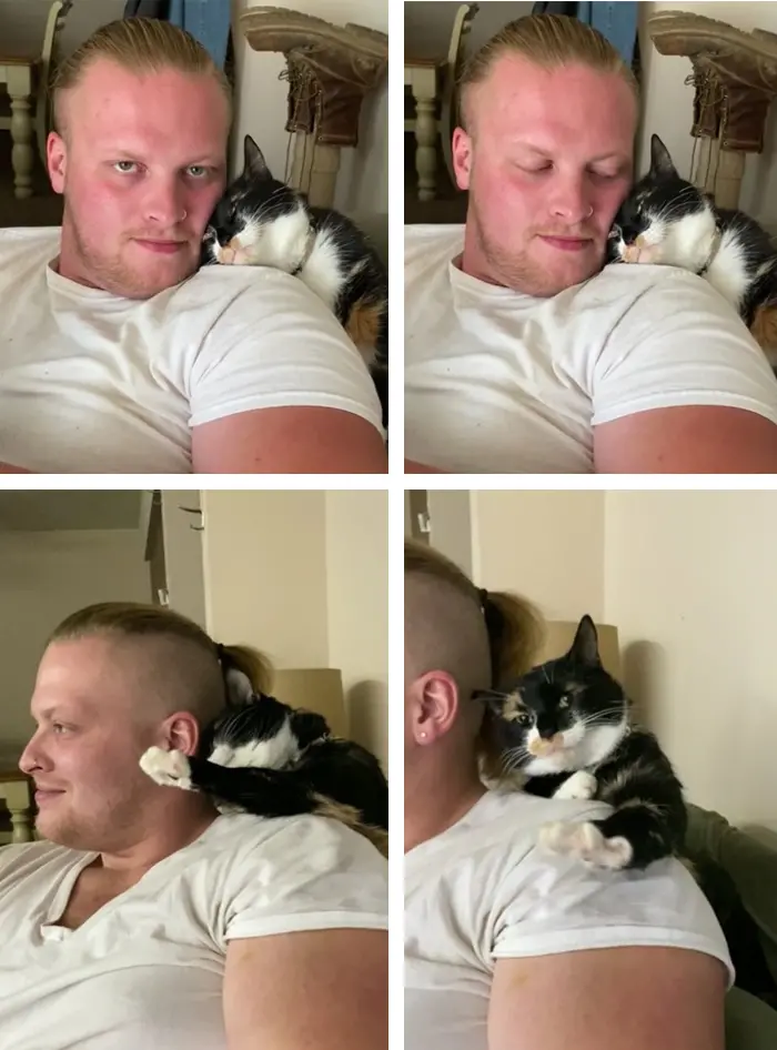 pets stealing owners' partners cat sleeping on shoulder of owner's boyfriend