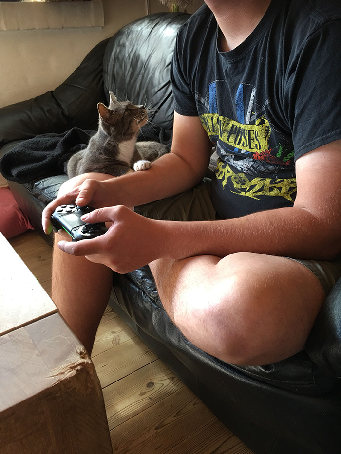 pets stealing owners' partners cat watching owner's boyfriend play video games