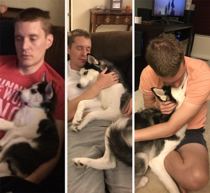 pets stealing owners' partners dog getting clingy with owner's husband
