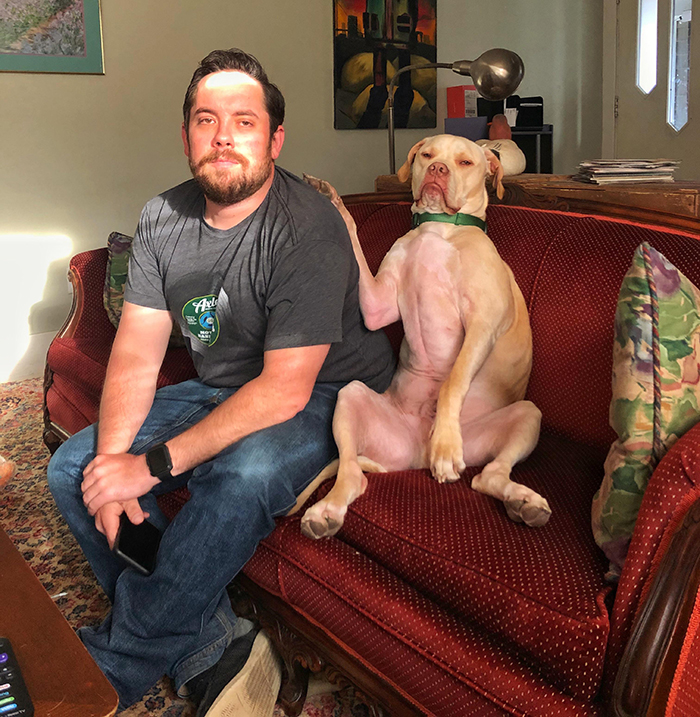 pets stealing owners' partners dog sitting beside owner's boyfriend with disapproving face