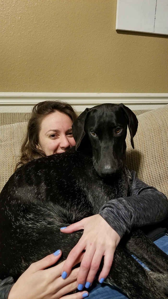 pets stealing owners' partners dog sitting on lap of owner's girlfriend