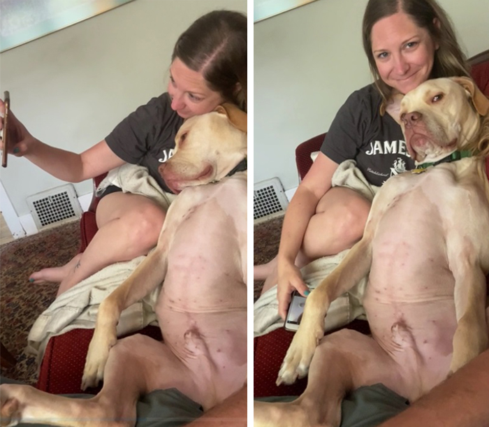 pets stealing owners' partners dog taking selfie with owner's girlfriend