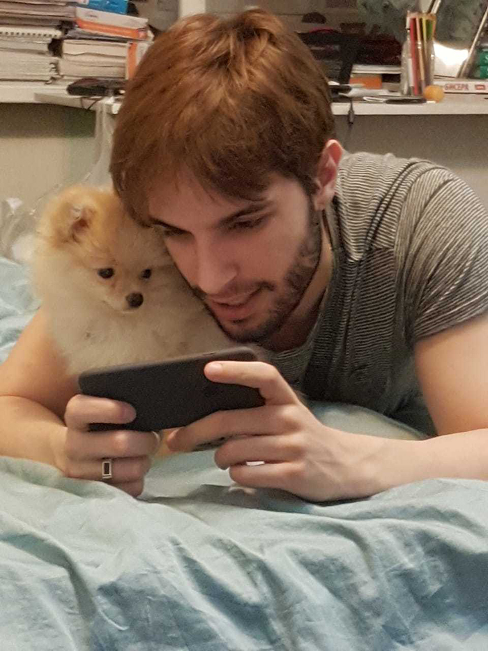 pets stealing owners' partners dog watching owner's boyfriend play mobile games