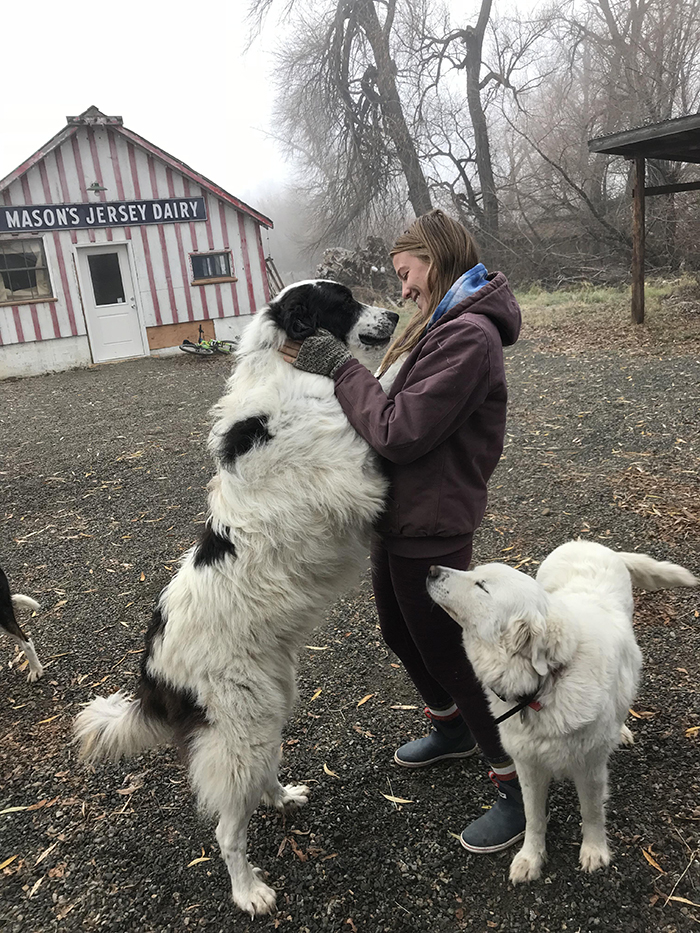 pets stealing owners' partners owner's girlfriend looking at dog dearly