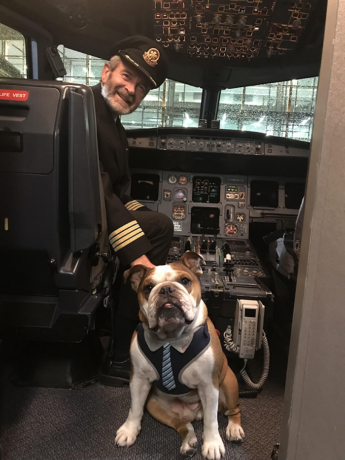 pets traveling dog meeting captain of plane