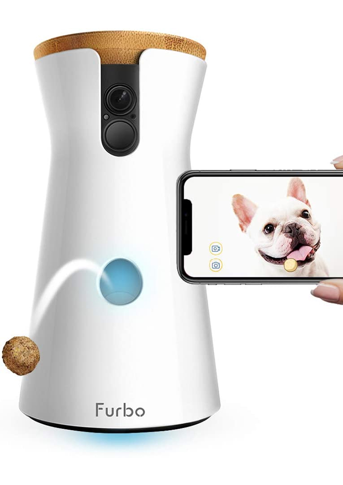 treat tossing dog camera