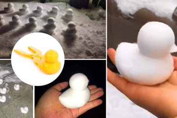 Duck-Shaped Snowball maker
