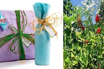Plantable Gift wrap