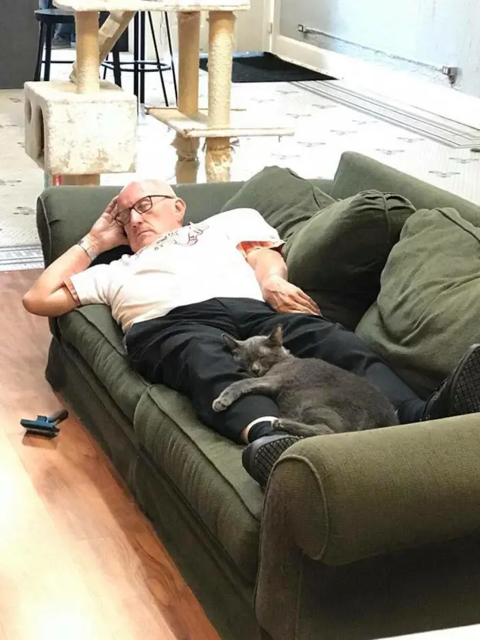 Terry lays across an olive couch at the shelter while a gray cat embraces his leg