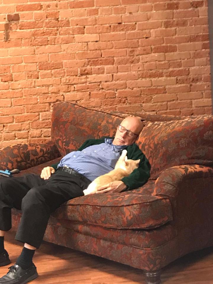 Terry naps together with a ginger shelter cat at Safe Haven Pet Sanctuary