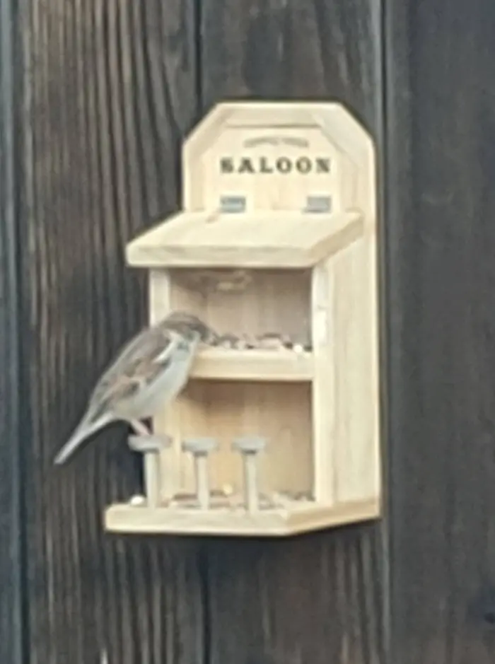 a2zwoodenletters outdoor bird feeder