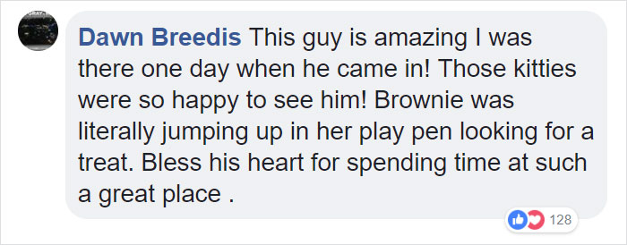 dawn breedis says terry is amazing and very loved by the cats